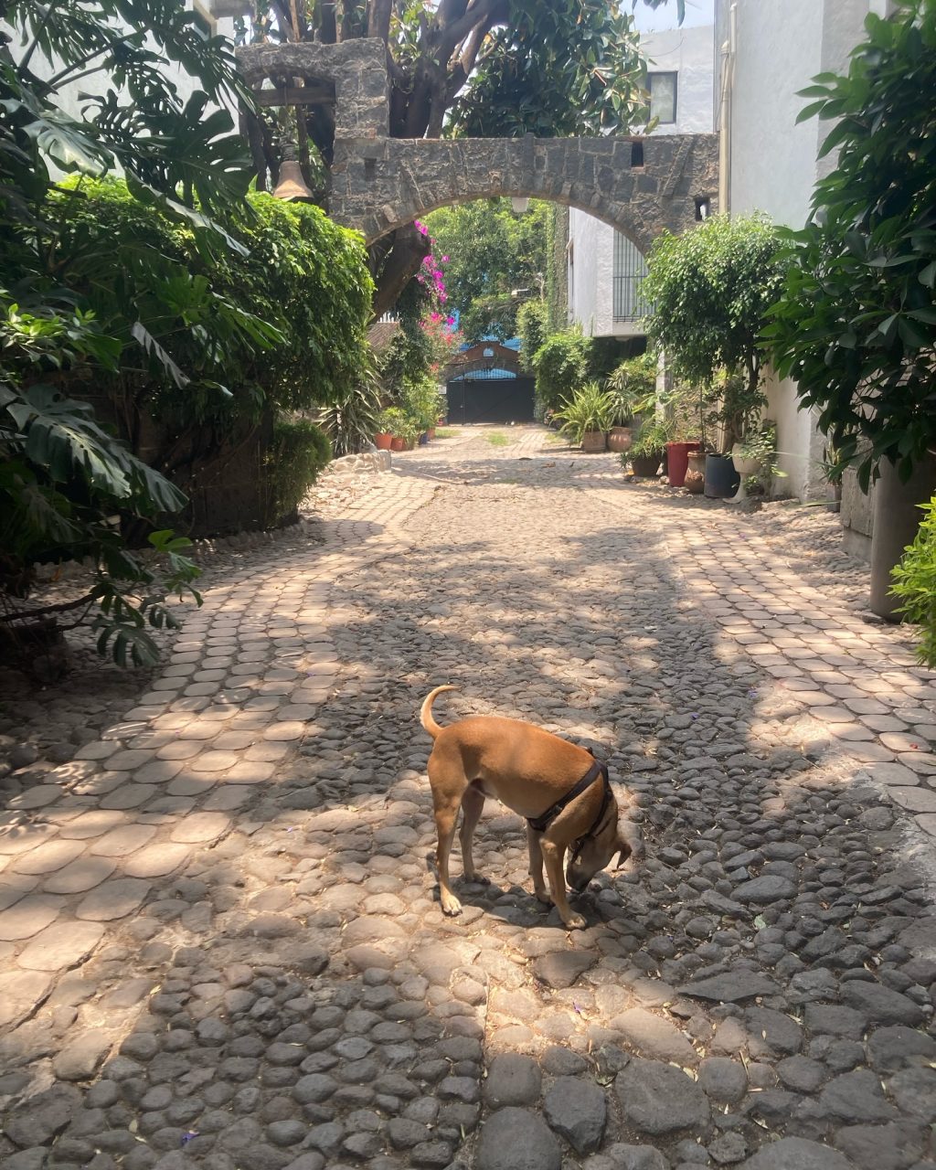 Instagram post from salernomau. This post is in position 4.