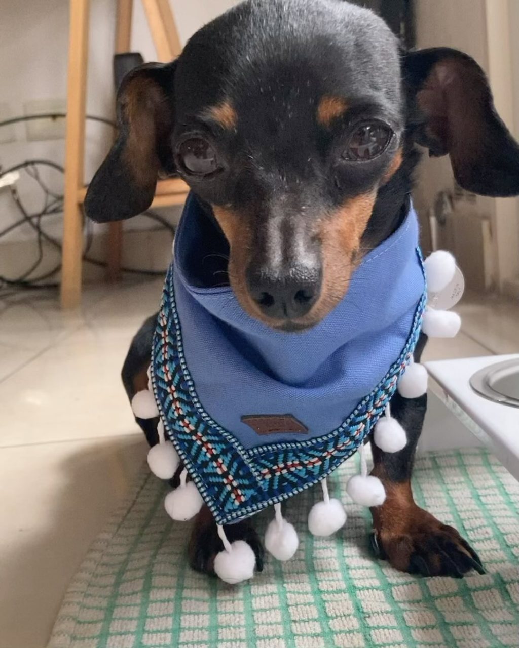 Instagram post from salernomau. This post is in position 2.