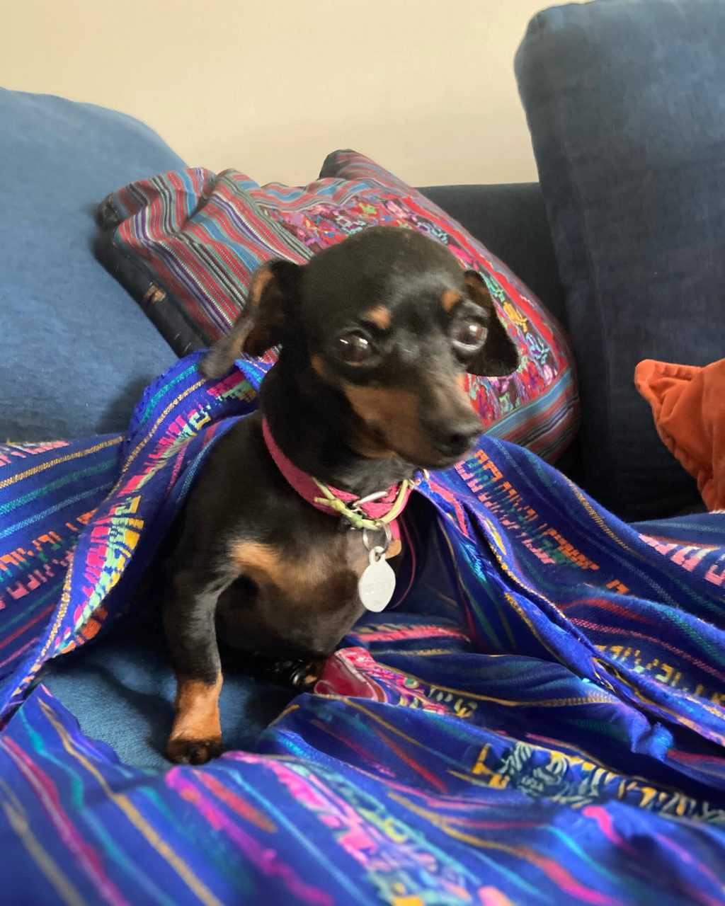 Instagram post from salernomau. This post is in position 9.