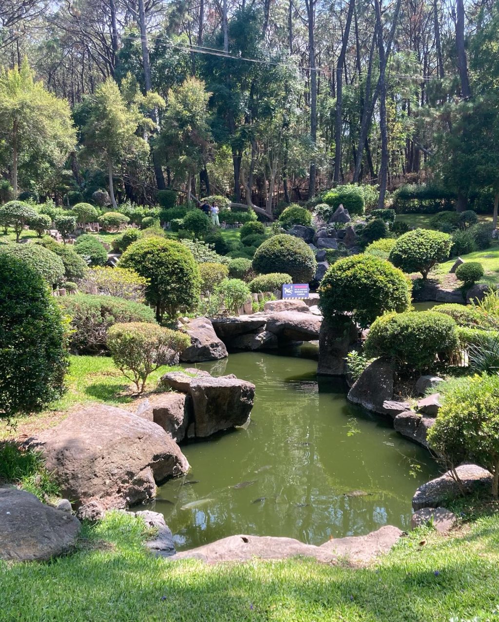 Instagram post from salernomau. This post is in position 8.